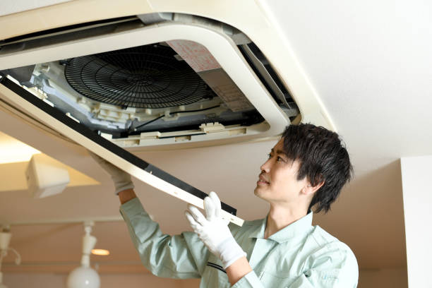 Best Local Air Duct Cleaning Services  in Belding, MI